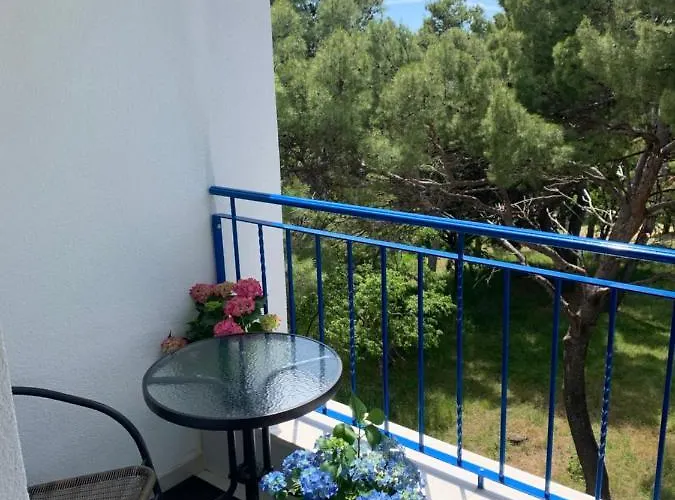 Ξενοδοχείο Elu Iris 3*